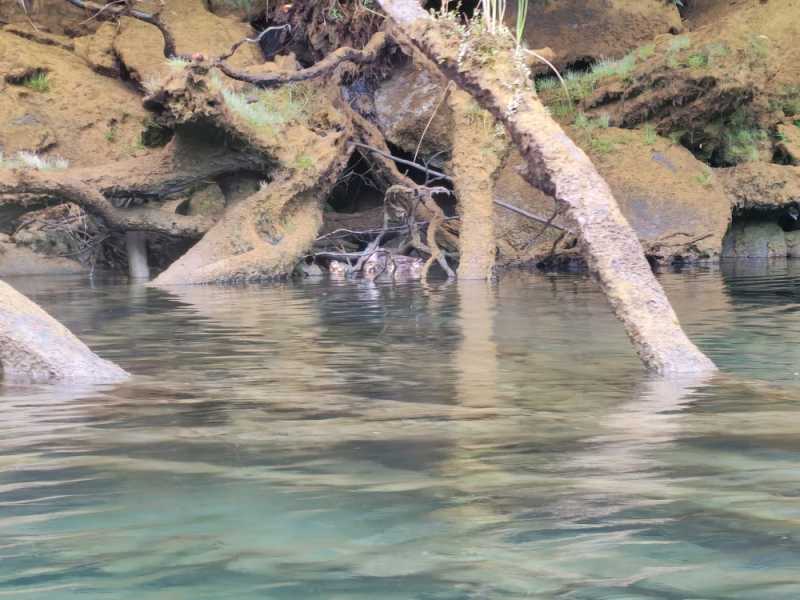 Новая Зеландия во второй раз на машине (21 день  - 2 острова) . Новогодние праздники