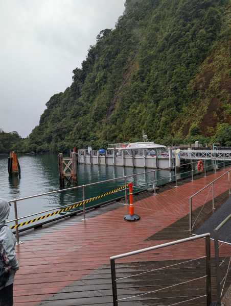 Новая Зеландия во второй раз на машине (21 день  - 2 острова) . Новогодние праздники