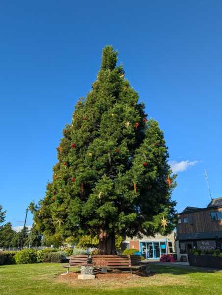 Новая Зеландия во второй раз на машине (21 день  - 2 острова) . Новогодние праздники