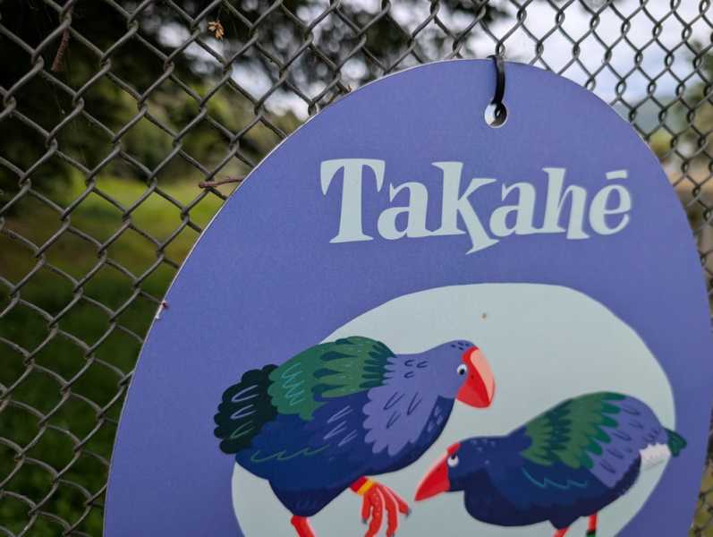 Новая Зеландия во второй раз на машине (21 день  - 2 острова) . Новогодние праздники