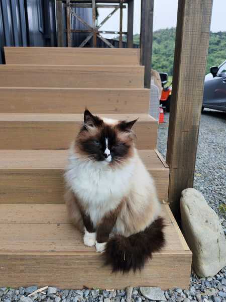 Новая Зеландия во второй раз на машине (21 день  - 2 острова) . Новогодние праздники