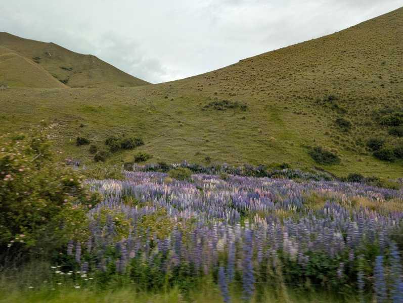 Новая Зеландия во второй раз на машине (21 день  - 2 острова) . Новогодние праздники