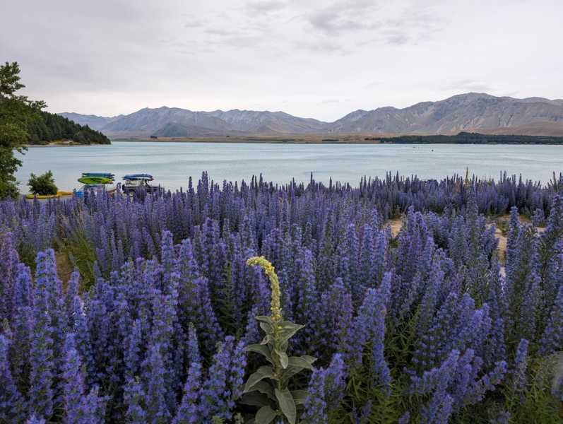 Новая Зеландия во второй раз на машине (21 день  - 2 острова) . Новогодние праздники