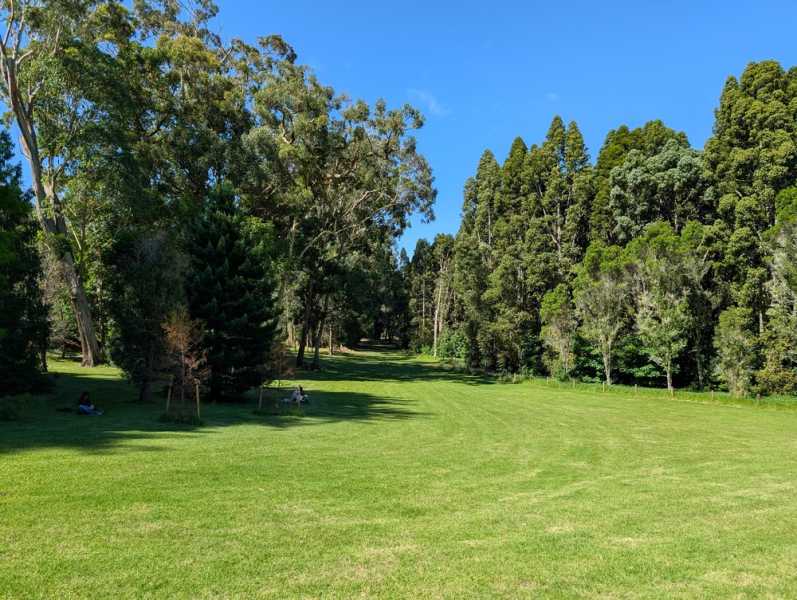 Новая Зеландия во второй раз на машине (21 день  - 2 острова) . Новогодние праздники