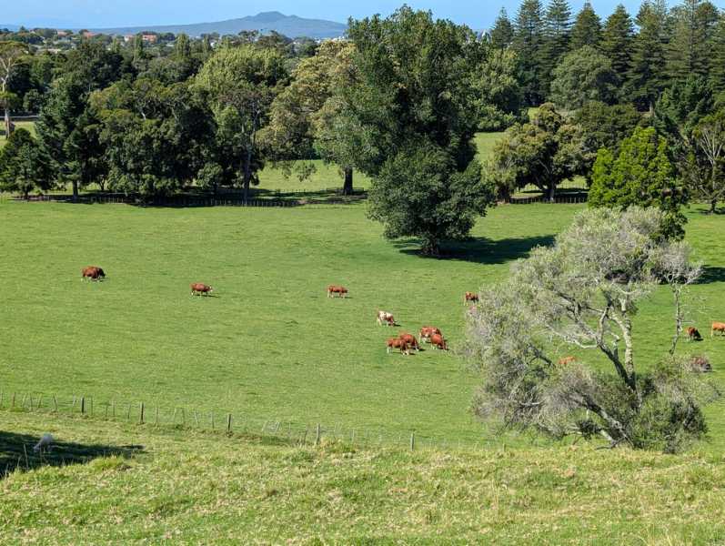 Новая Зеландия во второй раз на машине (21 день  - 2 острова) . Новогодние праздники