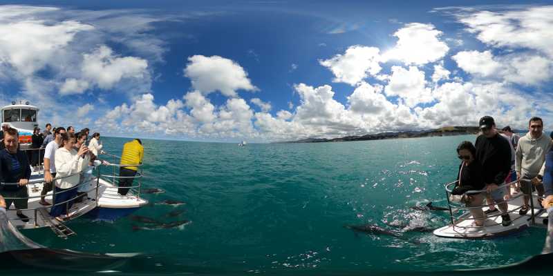 Новая Зеландия во второй раз на машине (21 день  - 2 острова) . Новогодние праздники