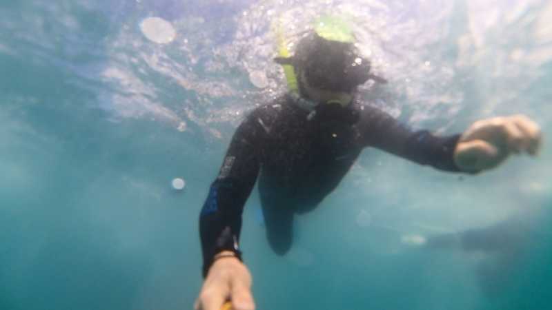 Новая Зеландия во второй раз на машине (21 день  - 2 острова) . Новогодние праздники