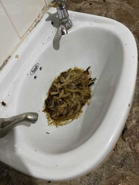 Южно-африканские приключения часть 2 20000 км (Намибия, Ботсвана, Замбия, Малави, Мозамбик) октябрь-декабрь 2025