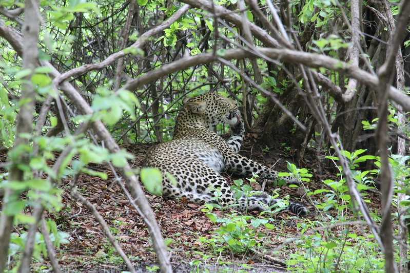 Южно-африканские приключения часть 2 20000 км (Намибия, Ботсвана, Замбия, Малави, Мозамбик) октябрь-декабрь 2025