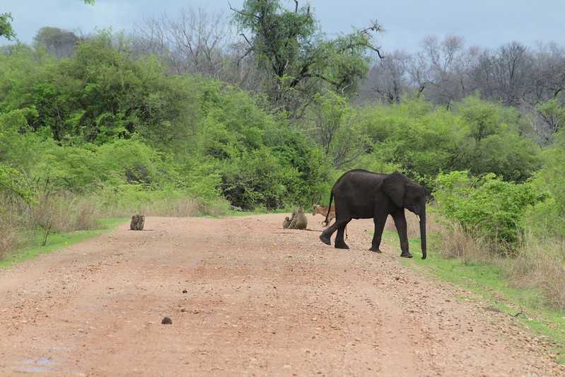 Южно-африканские приключения часть 2 20000 км (Намибия, Ботсвана, Замбия, Малави, Мозамбик) октябрь-декабрь 2025