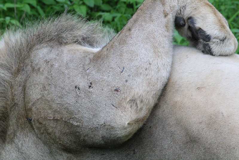 Южно-африканские приключения часть 2 20000 км (Намибия, Ботсвана, Замбия, Малави, Мозамбик) октябрь-декабрь 2025