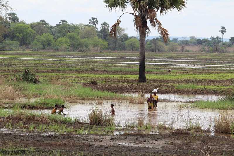 Южно-африканские приключения часть 2 20000 км (Намибия, Ботсвана, Замбия, Малави, Мозамбик) октябрь-декабрь 2025