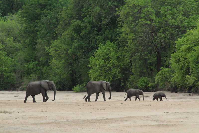 Южно-африканские приключения часть 2 20000 км (Намибия, Ботсвана, Замбия, Малави, Мозамбик) октябрь-декабрь 2025