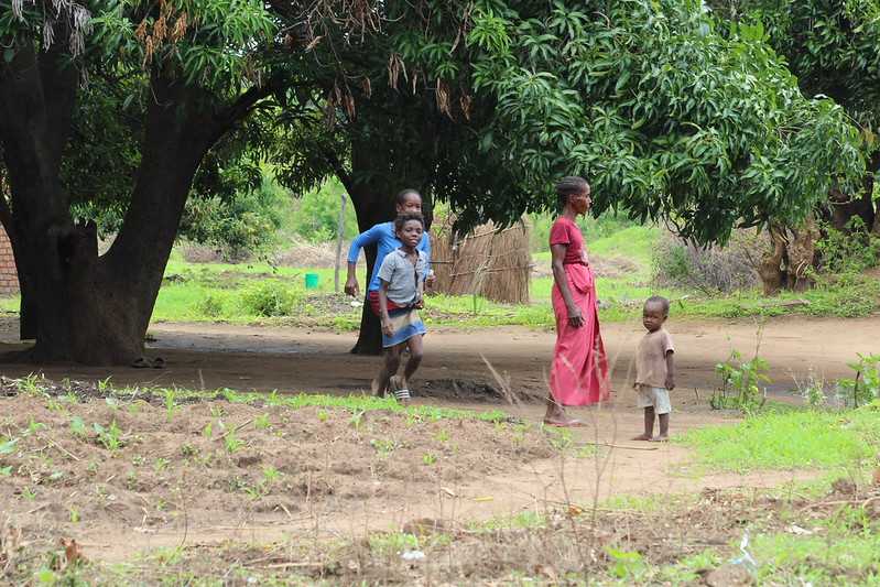 Южно-африканские приключения часть 2 20000 км (Намибия, Ботсвана, Замбия, Малави, Мозамбик) октябрь-декабрь 2025