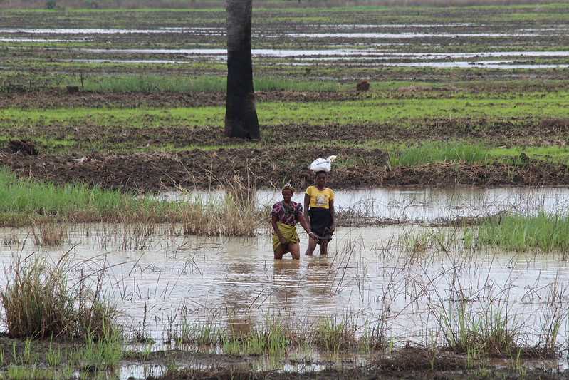 Южно-африканские приключения часть 2 20000 км (Намибия, Ботсвана, Замбия, Малави, Мозамбик) октябрь-декабрь 2025