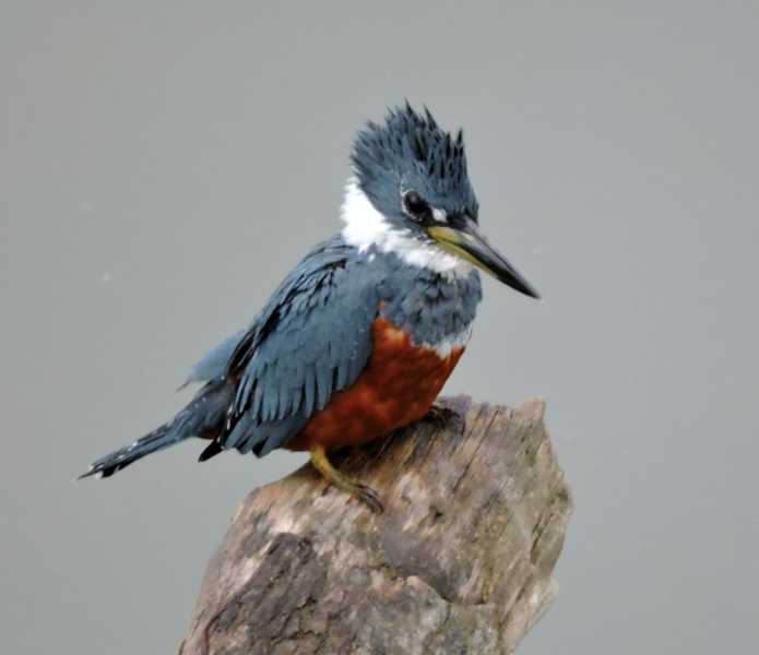 Перу, в натуре! Крайний север, декабрь 2025 – январь 2026