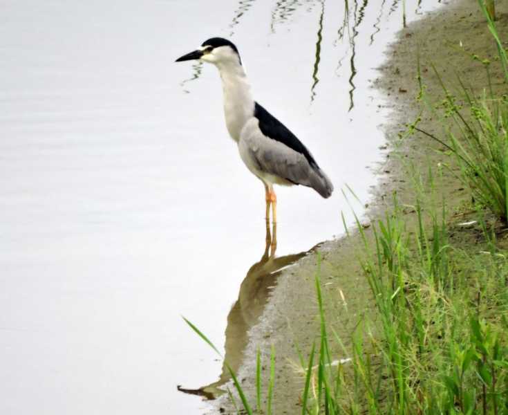 Перу, в натуре! Крайний север, декабрь 2025 – январь 2026