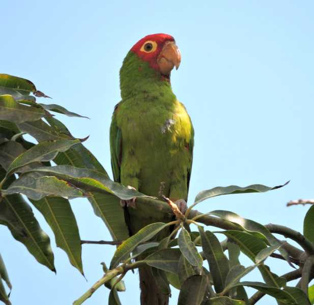 Перу, в натуре! Крайний север, декабрь 2025 – январь 2026