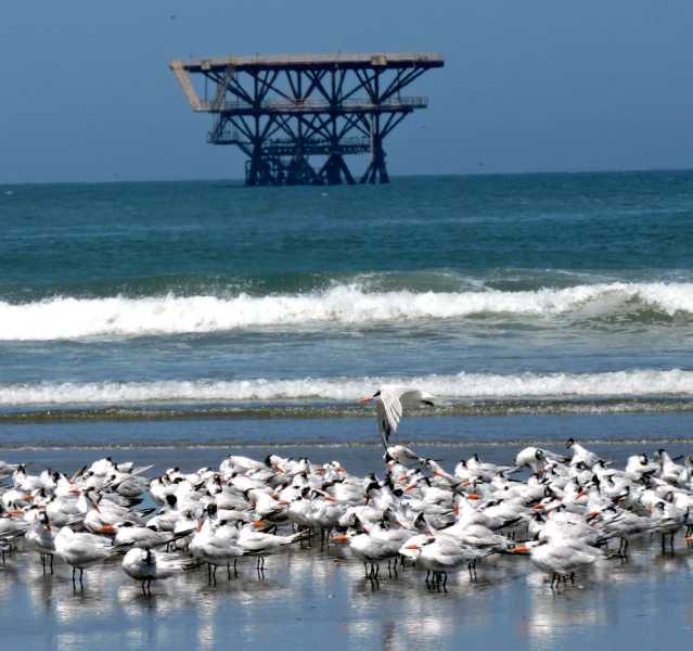 Перу, в натуре! Крайний север, декабрь 2025 – январь 2026