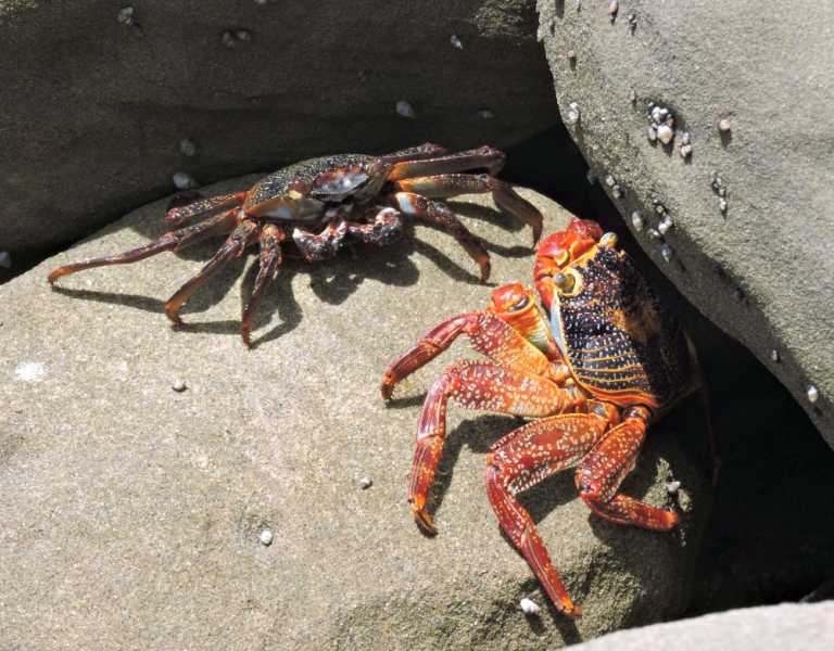 Перу, в натуре! Крайний север, декабрь 2025 – январь 2026