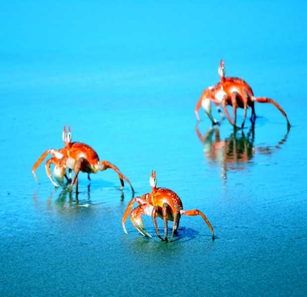 Перу, в натуре! Крайний север, декабрь 2025 – январь 2026