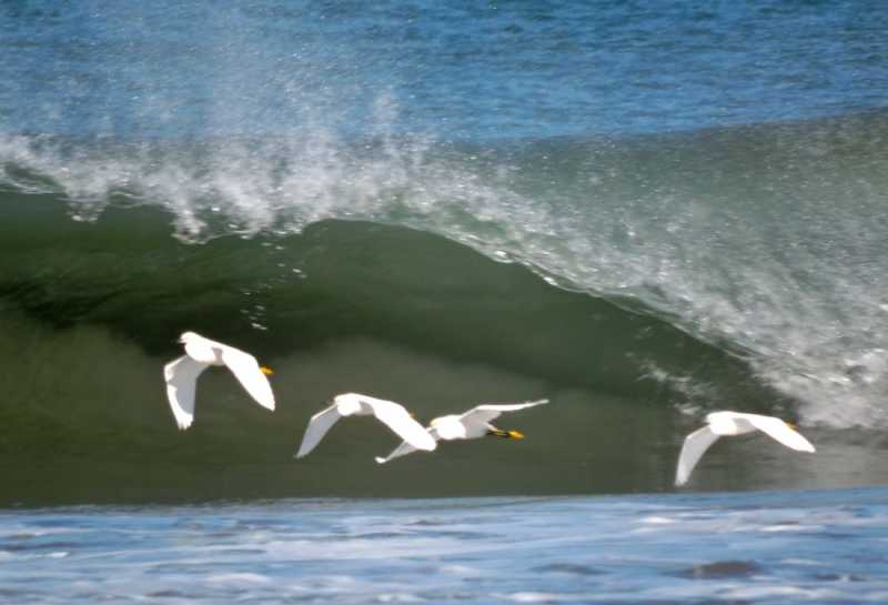 Перу, в натуре! Крайний север, декабрь 2025 – январь 2026