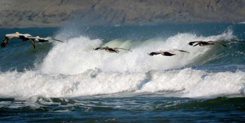Перу, в натуре! Крайний север, декабрь 2025 – январь 2026