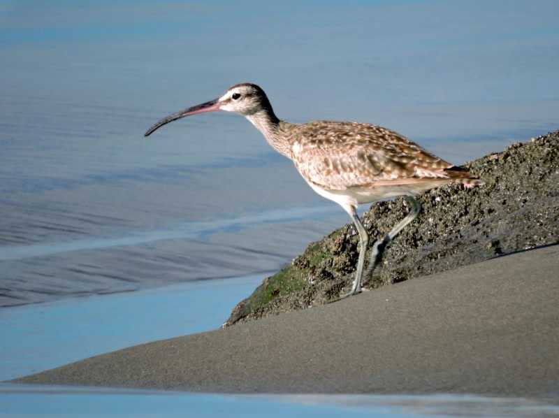 Перу, в натуре! Крайний север, декабрь 2025 – январь 2026