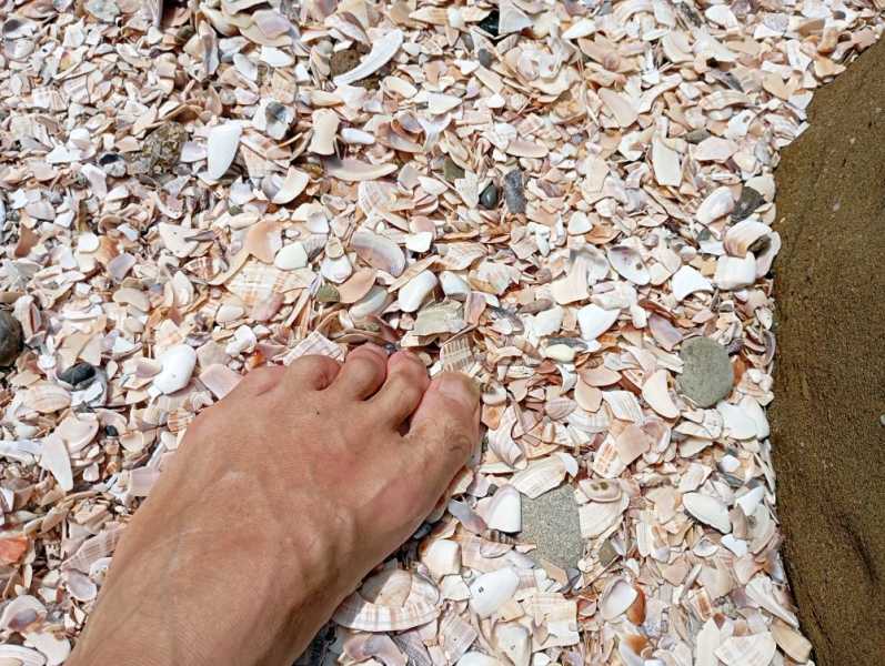 Перу, в натуре! Крайний север, декабрь 2025 – январь 2026