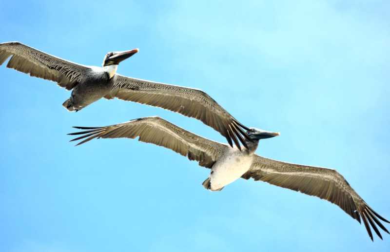 Перу, в натуре! Крайний север, декабрь 2025 – январь 2026