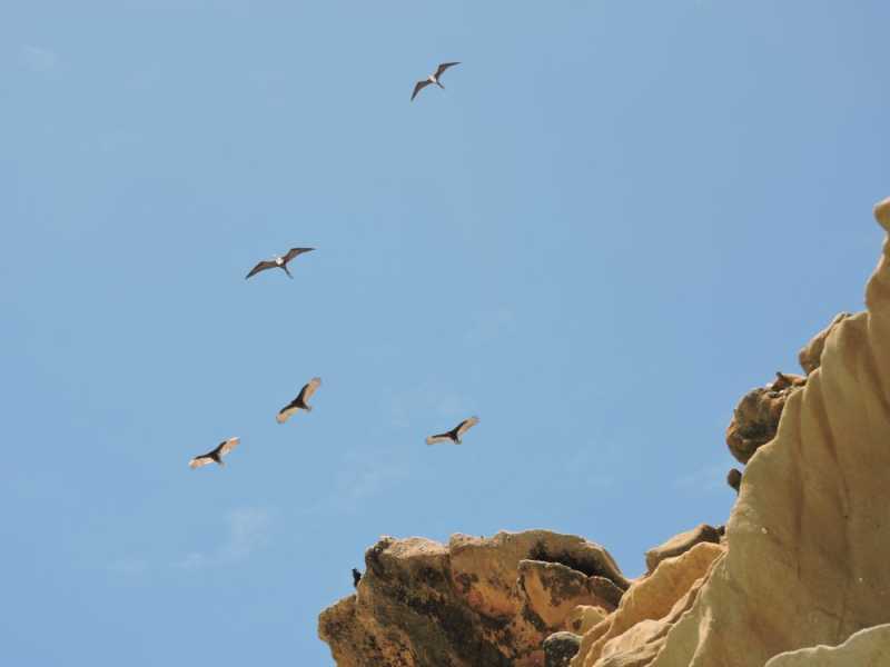 Перу, в натуре! Крайний север, декабрь 2025 – январь 2026