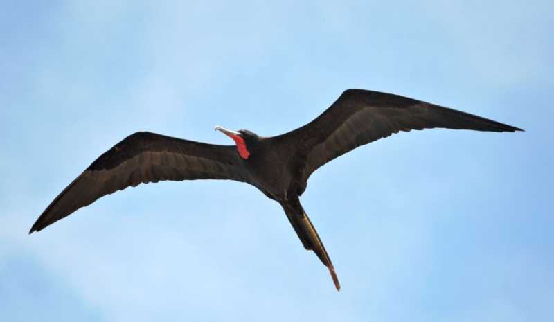 Перу, в натуре! Крайний север, декабрь 2025 – январь 2026