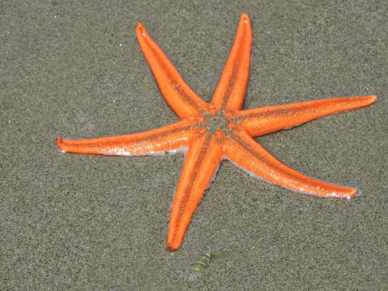 Перу, в натуре! Крайний север, декабрь 2025 – январь 2026