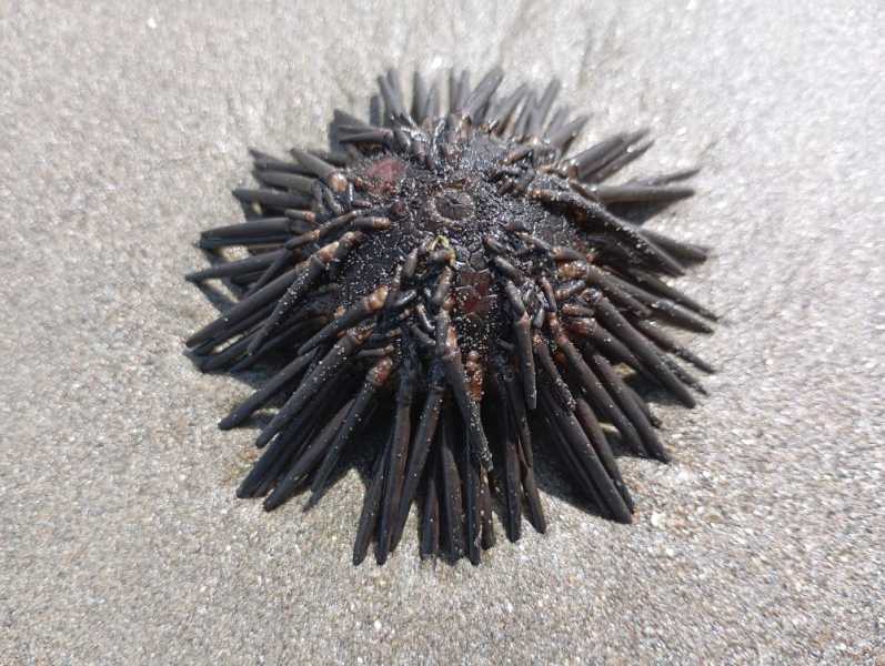 Перу, в натуре! Крайний север, декабрь 2025 – январь 2026