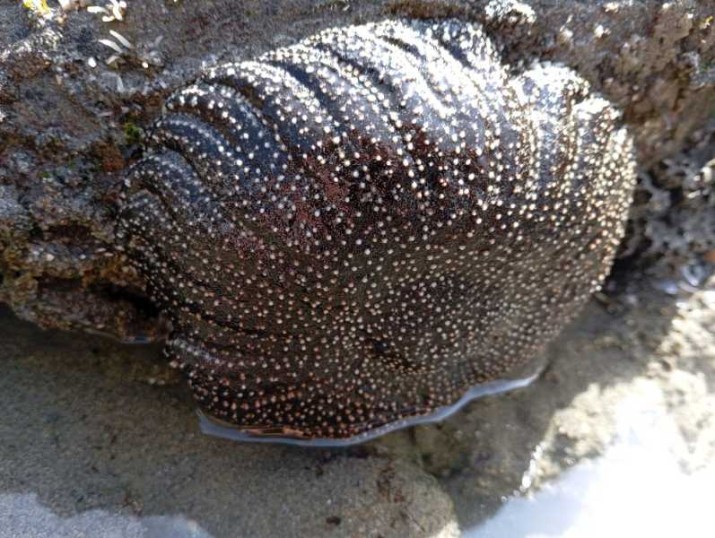 Перу, в натуре! Крайний север, декабрь 2025 – январь 2026