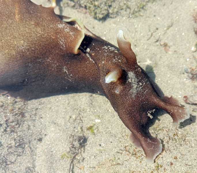 Перу, в натуре! Крайний север, декабрь 2025 – январь 2026