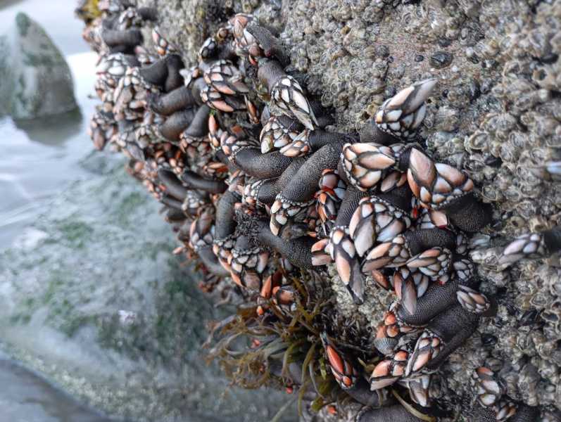 Перу, в натуре! Крайний север, декабрь 2025 – январь 2026