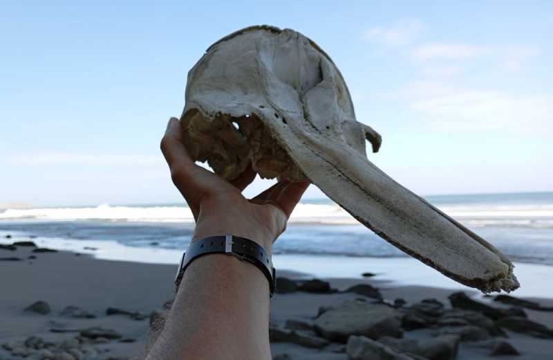 Перу, в натуре! Крайний север, декабрь 2025 – январь 2026