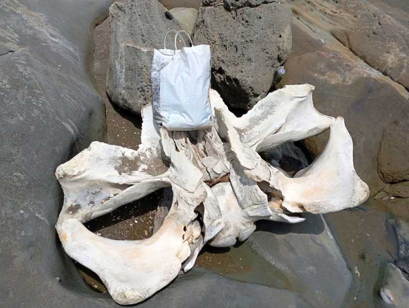 Перу, в натуре! Крайний север, декабрь 2025 – январь 2026