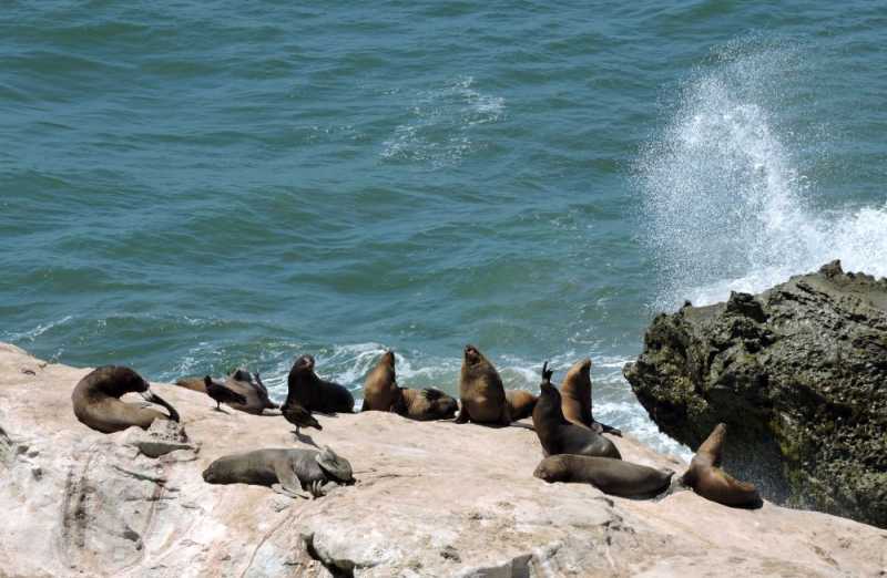 Перу, в натуре! Крайний север, декабрь 2025 – январь 2026