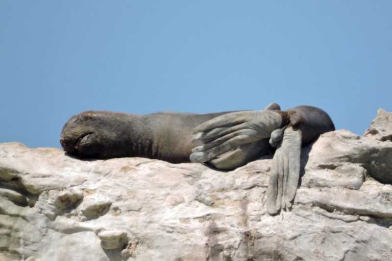 Перу, в натуре! Крайний север, декабрь 2025 – январь 2026