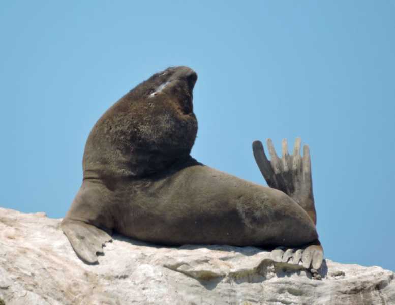 Перу, в натуре! Крайний север, декабрь 2025 – январь 2026