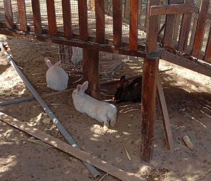 Перу, в натуре! Крайний север, декабрь 2025 – январь 2026