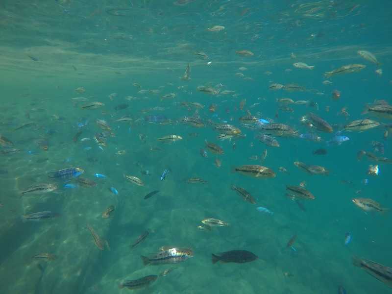 Южно-африканские приключения часть 2 20000 км (Намибия, Ботсвана, Замбия, Малави, Мозамбик) октябрь-декабрь 2025