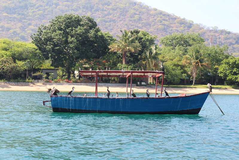 Южно-африканские приключения часть 2 20000 км (Намибия, Ботсвана, Замбия, Малави, Мозамбик) октябрь-декабрь 2025