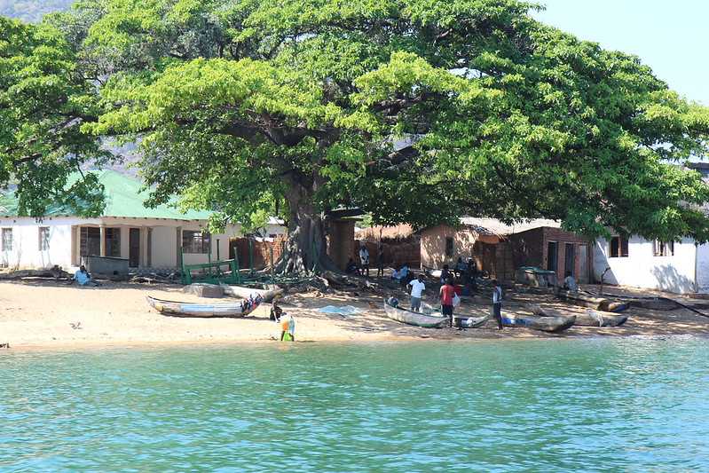 Южно-африканские приключения часть 2 20000 км (Намибия, Ботсвана, Замбия, Малави, Мозамбик) октябрь-декабрь 2025