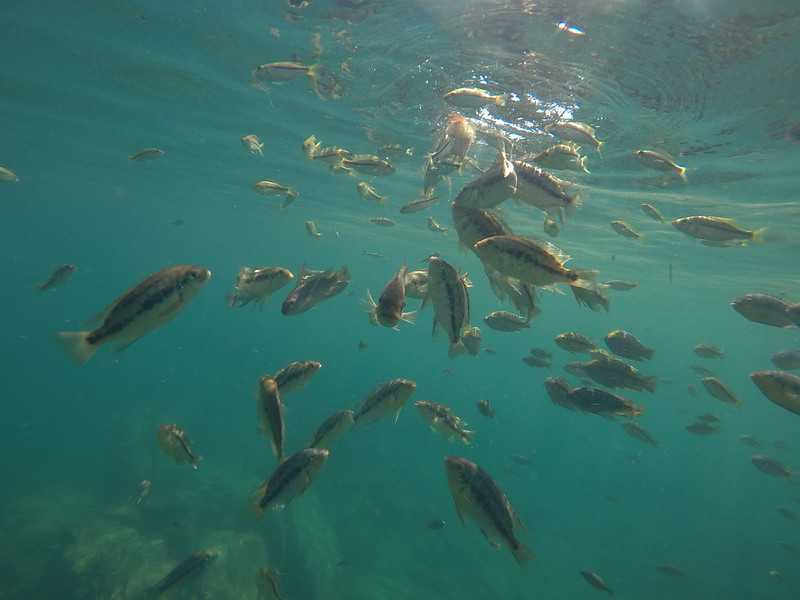 Южно-африканские приключения часть 2 20000 км (Намибия, Ботсвана, Замбия, Малави, Мозамбик) октябрь-декабрь 2025