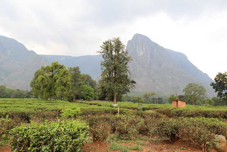 Южно-африканские приключения часть 2 20000 км (Намибия, Ботсвана, Замбия, Малави, Мозамбик) октябрь-декабрь 2025