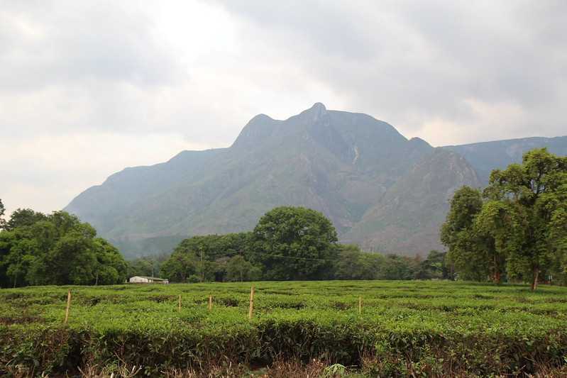 Южно-африканские приключения часть 2 20000 км (Намибия, Ботсвана, Замбия, Малави, Мозамбик) октябрь-декабрь 2025