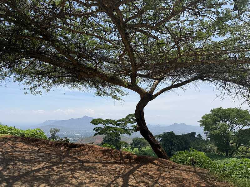 Южно-африканские приключения часть 2 20000 км (Намибия, Ботсвана, Замбия, Малави, Мозамбик) октябрь-декабрь 2025